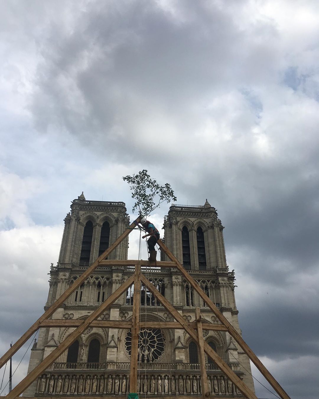 Carpenters Without Borders recreate Notre Dame in Paris