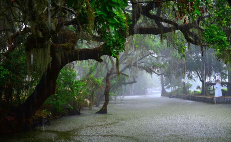 Rain expected in Dhanbad today and tomorrow, Mercury will ...